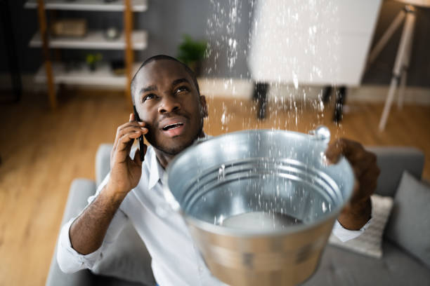 Best Fire Damage Restoration  in Orangeburg, NY