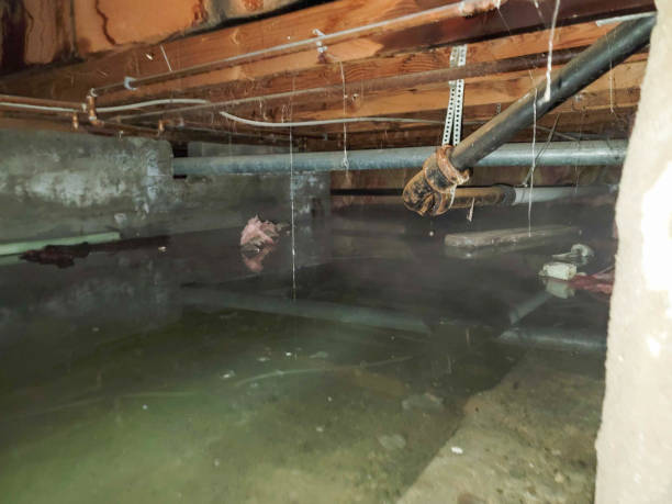 24/7 water damage repair in Orangeburg, NY