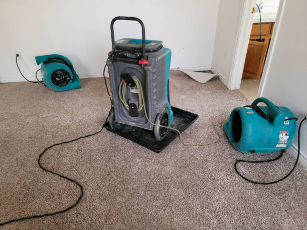 Best Water damage cleanup near me  in Orangeburg, NY