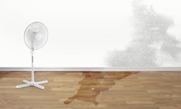 Best Flooded house restoration  in Orangeburg, NY