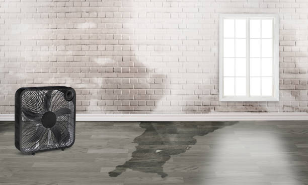 Best Water damage restoration near me  in Orangeburg, NY