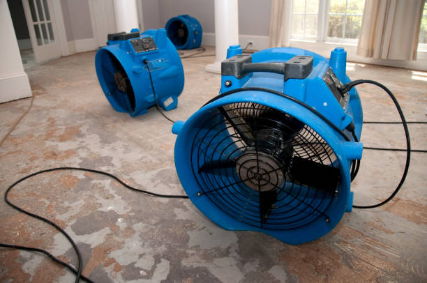 Best Sewage cleanup and water damage restoration  in Orangeburg, NY