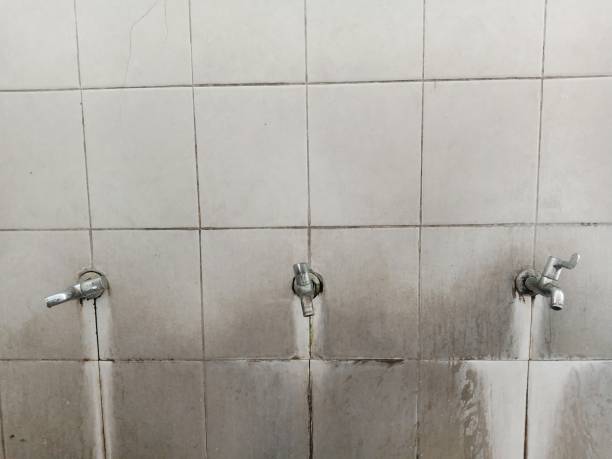Best 24/7 water damage repair  in Orangeburg, NY