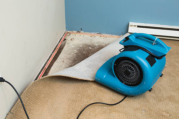 Best Professional water damage repair  in Orangeburg, NY